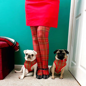 Original Red Tartan Printed Tights